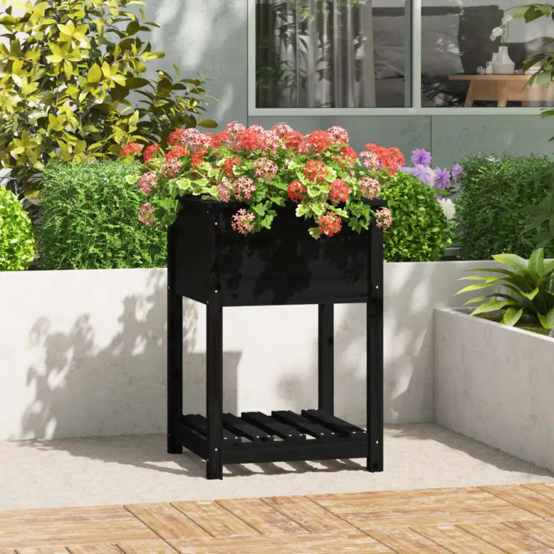 Houten plantenbak van massief grenenhout voor binnen en buiten - Zwart / 58 x 54 x 81 cm / 1 - Bloempotten &