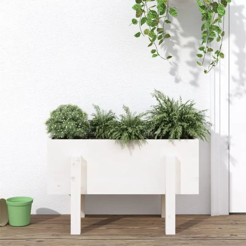 Houten plantenbak van massief grenenhout voor tuin en balkon - Wit grenenhout / 62 x 30 x 38 cm / 1 - Bloempotten &