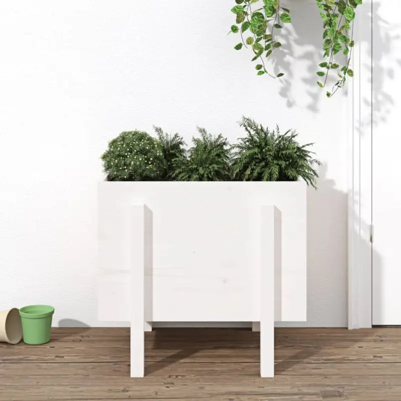 Houten plantenbak van massief grenenhout voor tuin en balkon - Wit grenenhout / 62 x 50 x 57 cm / 1 - Bloempotten &