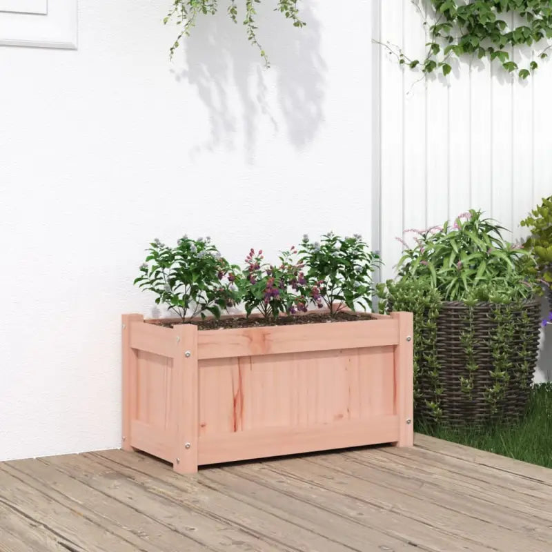 Houten plantenbakken van geïmpregneerd grenenhout voor tuin en balkon - Natuurlijk douglashout / 1 - Bloempotten &