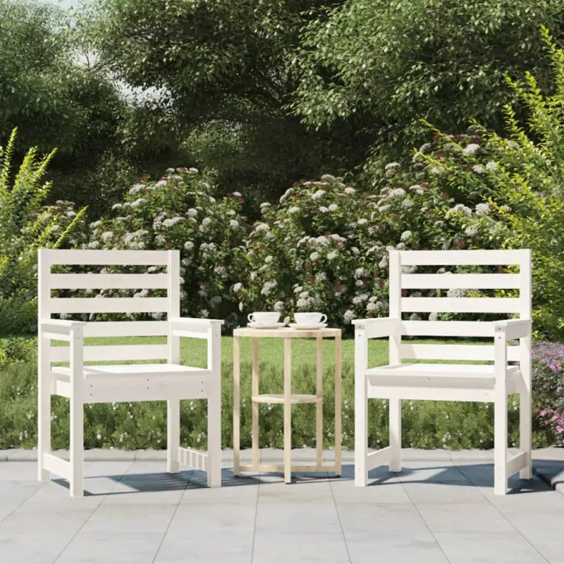Houten tuinstoelen van massief grenenhout voor comfortabel buitengebruik - Wit grenenhout / 60 x 48 x 91 cm / 2