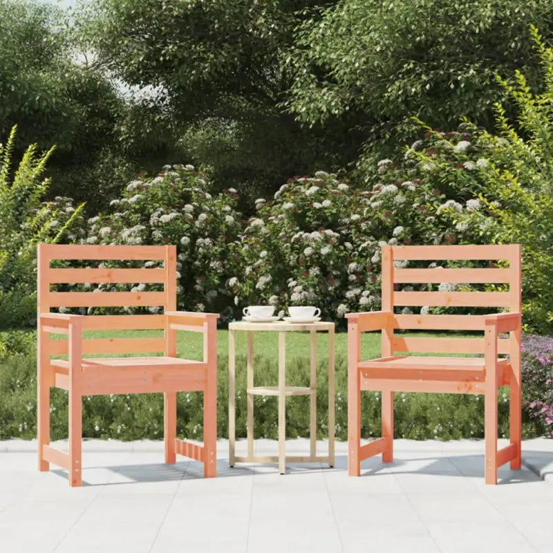 Houten tuinstoelen van massief grenenhout voor comfortabel buitengebruik - Natuurlijk douglashout / 60 x 48 x 91 cm / 2