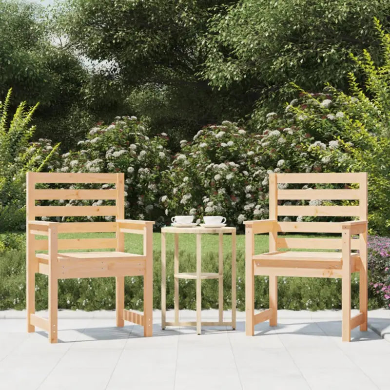 Houten tuinstoelen van massief grenenhout voor comfortabel buitengebruik - Natuurlijk grenenhout / 60 x 48 x 91 cm / 2