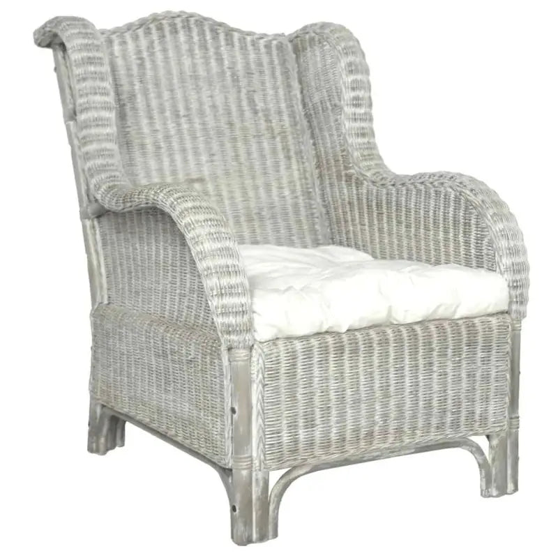 Natuurlijk Rattan Banken - Elegante en eenvoudige fauteuil voor elke ruimte - Banken