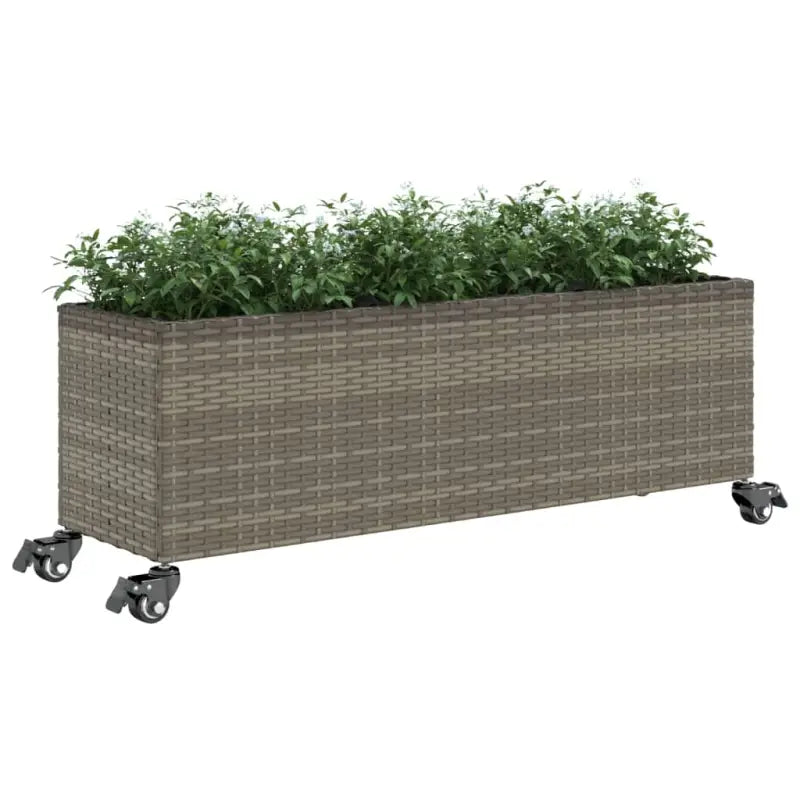 Plantenbak in poly rattan met nonwoven zak voor buitengebruik - Bloempotten & plantenbakken