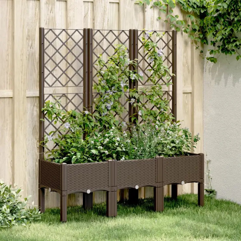 Plantenbak met latwerk voor klimplanten in tuin of op terras - Bruin / 120 x 40 x 142 cm / 1 - Bloempotten &