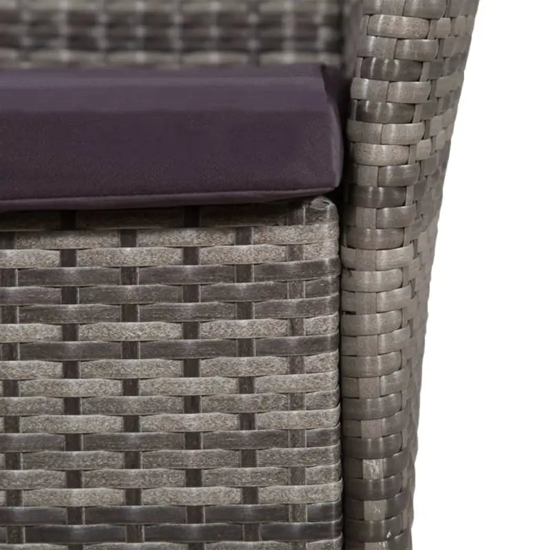Poly Rattan Tuinset met levering bevat voor een eigentijdse buitenruimte - Tuinsets