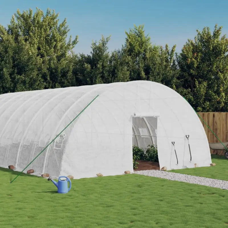 Ruime Tuinkas voor Groenten en Planten in Duurzaam Polyethyleen - Wit / 20 x 6 x 2.85 m / 1 - Tuinkassen