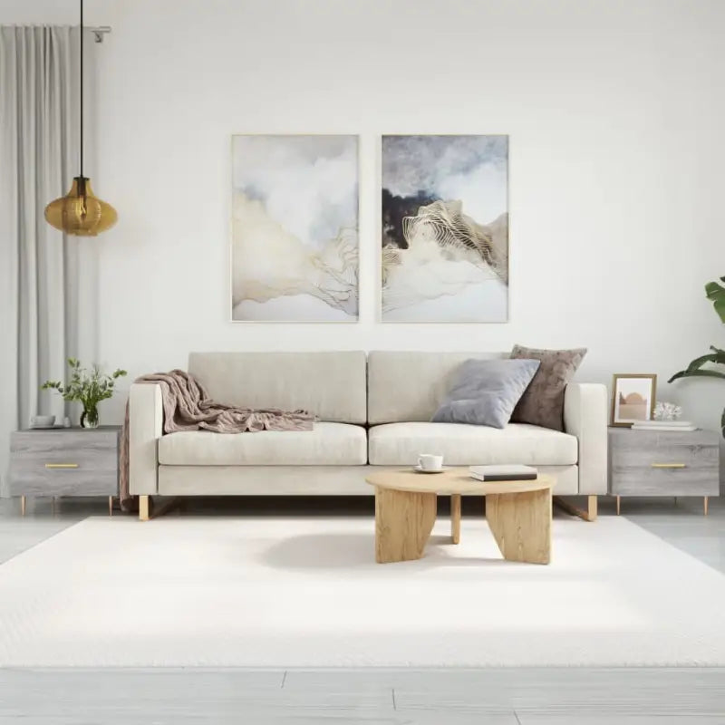 Salontafel met grijs Sonoma Eiken en ijzeren poten voor elegante woonkamer - Grijs sonoma / 2 - Salontafels