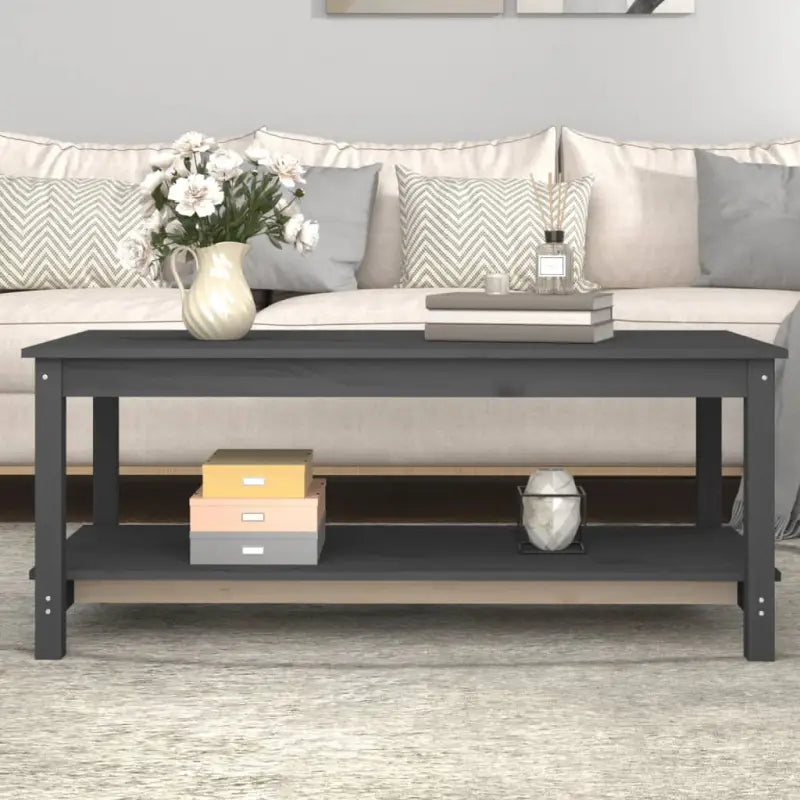 Salontafel van massief grenenhout met open schap voor een rustieke uitstraling - Grijs / 110 x 55 x 45 cm / 1