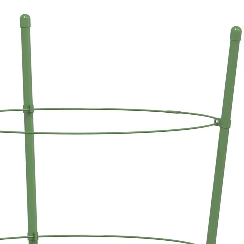 Stevige plantensteunen voor klimplanten bloemen en groenten - Plantenkooien & -steunen