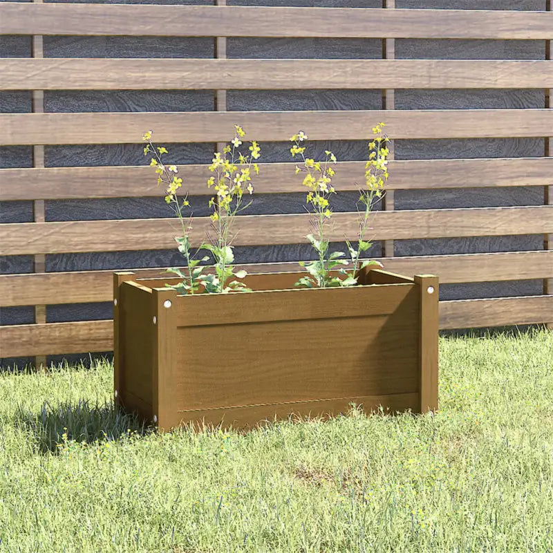 Tuinen plantenbak van massief grenenhout voor buitengebruik - Honingbruin / 1 - Bloempotten & plantenbakken