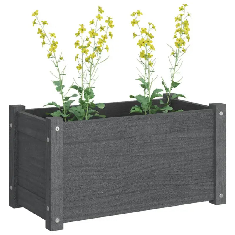 Tuinen plantenbak van massief grenenhout voor buitengebruik - Bloempotten & plantenbakken