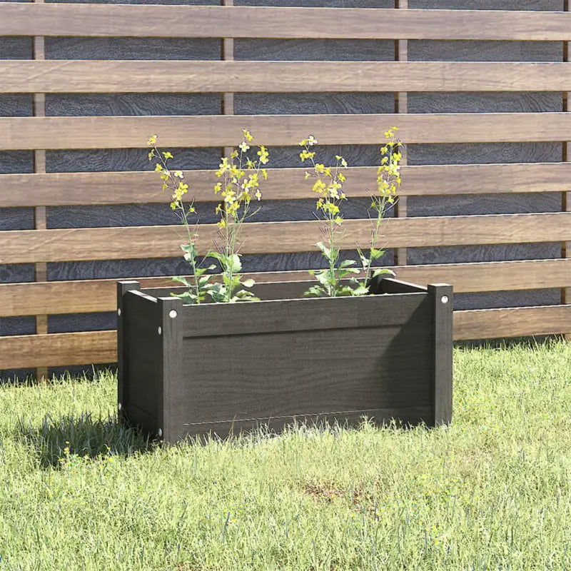 Tuinen plantenbak van massief grenenhout voor buitengebruik - Grijs / 1 - Bloempotten & plantenbakken