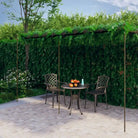 Tuinpergola van smeedijzer voor rozen en klimplanten - Tuinbogen latwerk & pergola’s
