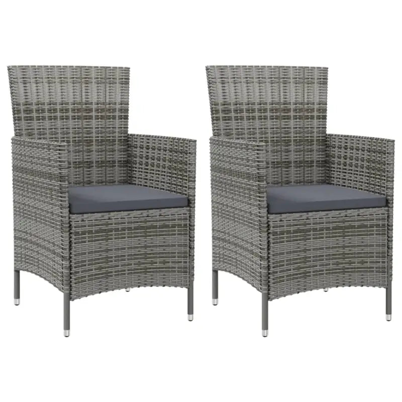 Tuinstoelen set van poly rattan met stevig gepoedercoat stalen frame - Grijs / 2 - Tuinstoelen