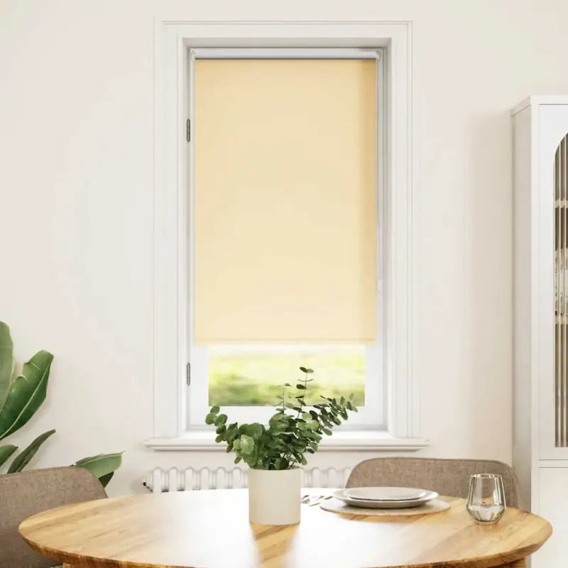 Verduisterende rolgordijnen voor jonge kinderen en optimale lichtcontrole - Beige / 60 x 120 cm - Jaloezieën &