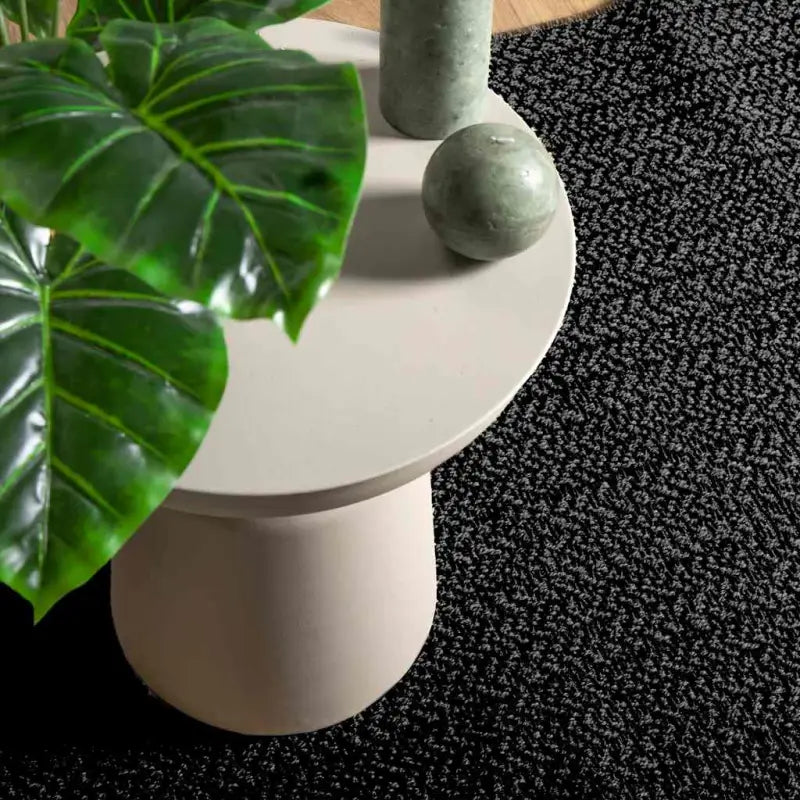 Vloerkleed voor binnen en buiten met gezellige sfeer - Antraciet / 80 x 250 cm / Rechthoekig - Vloerkleden