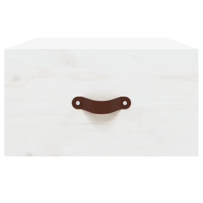 Wandgemonteerde opbergkasten van massief grenenhout met stabiel blad - Opbergkasten & lockerkasten