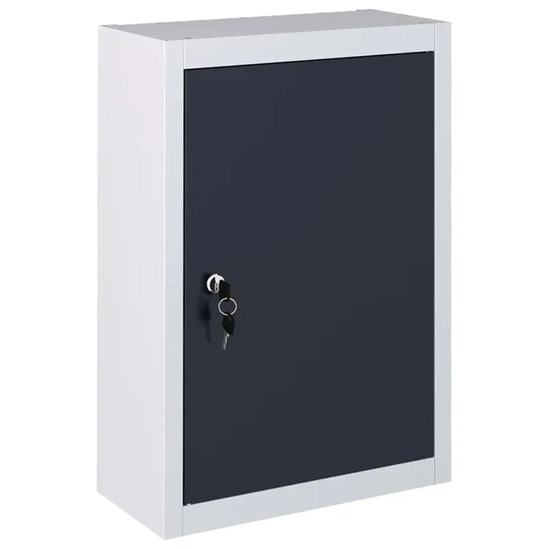Wandgereedschapskast met verstelbaar schap en geperforeerde plaat - 40 x 19 x 60 cm / 1 - Gereedschapskasten