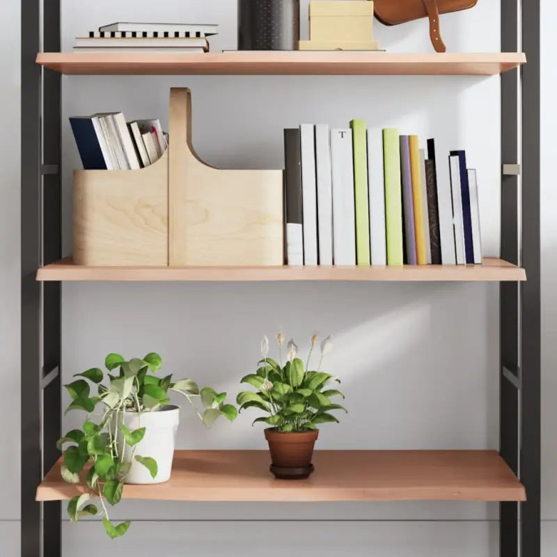 Wandplank van massief eikenhout met natuurlijke rand voor extra opbergruimte - Lichtbruin / 100 x 60 x 2 cm / 1