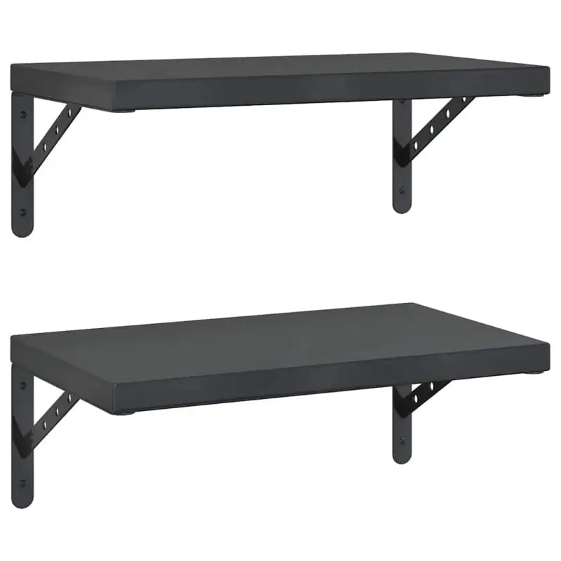 Zwarte coating dikte wandplanken van roestvrijstaal met zwart materiaal - Wandplanken